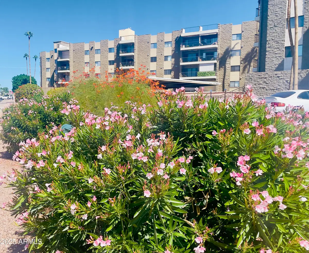 425 S Parkcrest -- #322, Mesa, AZ 85206 - Image #1