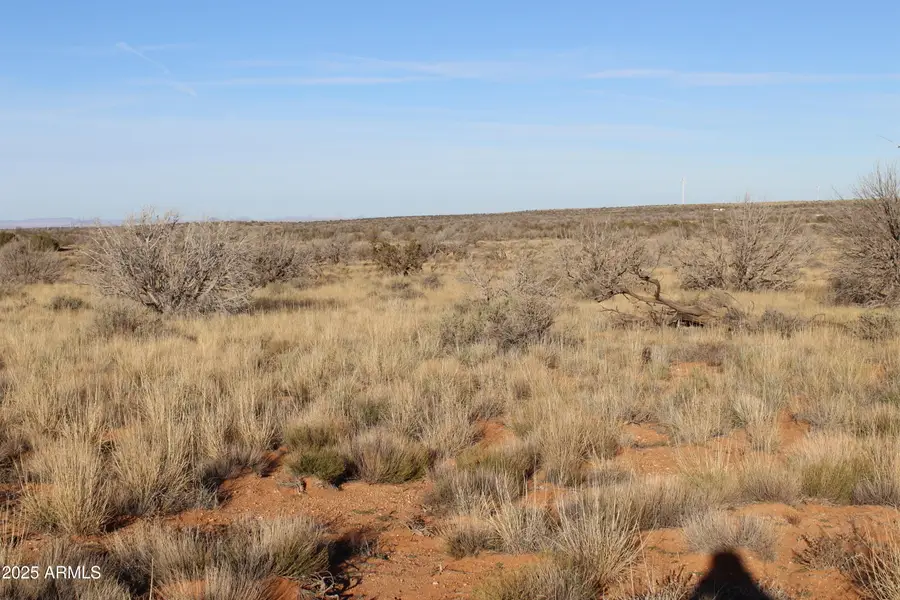 Lot 224 Ccr Unit 2 -- #224, Winslow Holbrook, AZ 85928 - Image #2