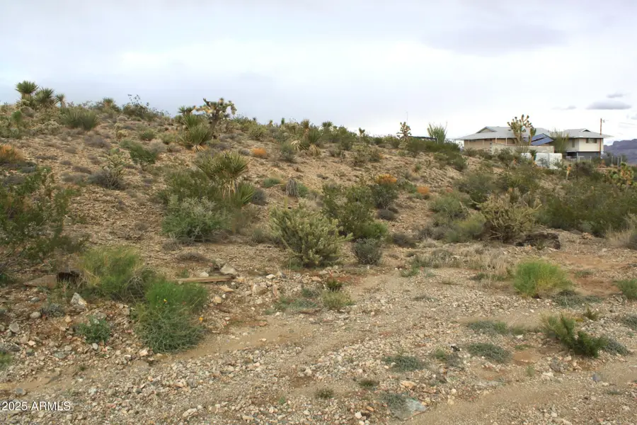 1765 W Fortification Drive #736, Meadview, AZ 86444 - Image #2