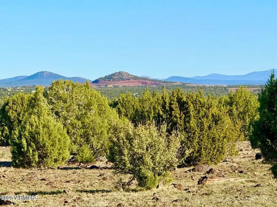 TBD Mustang Ln Lots F & H 5.5 Acre --, White Mountain Lake, AZ 85901 - Image #2