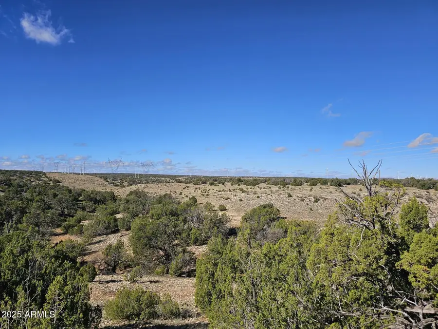 TBD Chevelon Acres --, Heber, AZ 85928 - Image #2