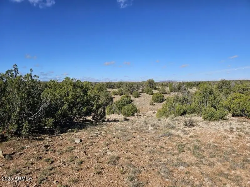 TBD Chevelon Acres --, Heber, AZ 85928 - Image #3
