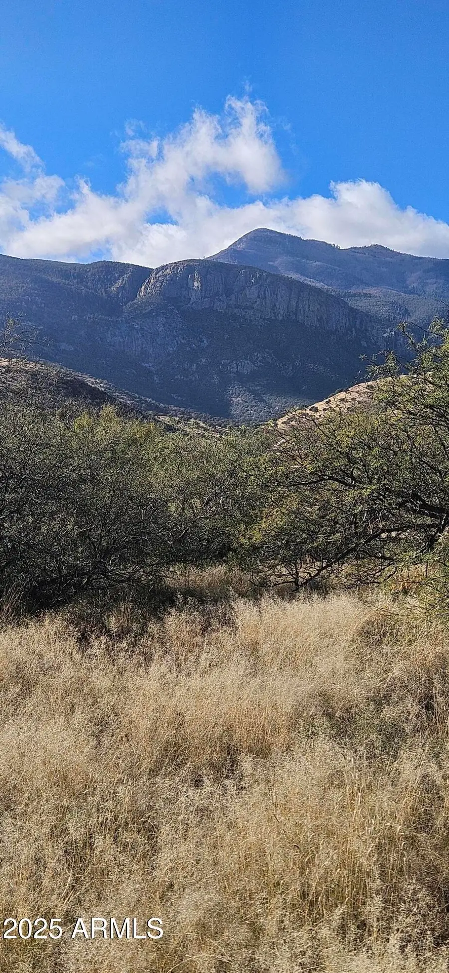 0.83 Acres Stephanie Place, Hereford, AZ 85615 - Image #3