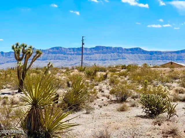 30390 N Dutton Drive #182, Meadview, AZ 86444 - Image #1