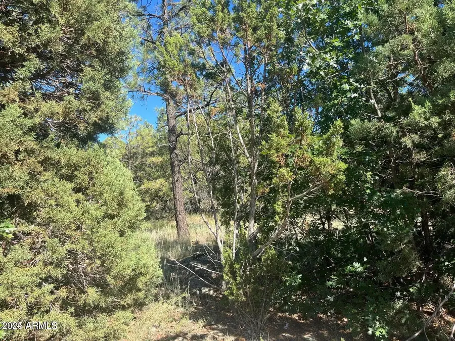 5020 Bison Trail #34 & 35, Wagon Wheel, AZ 85929 - Image #3