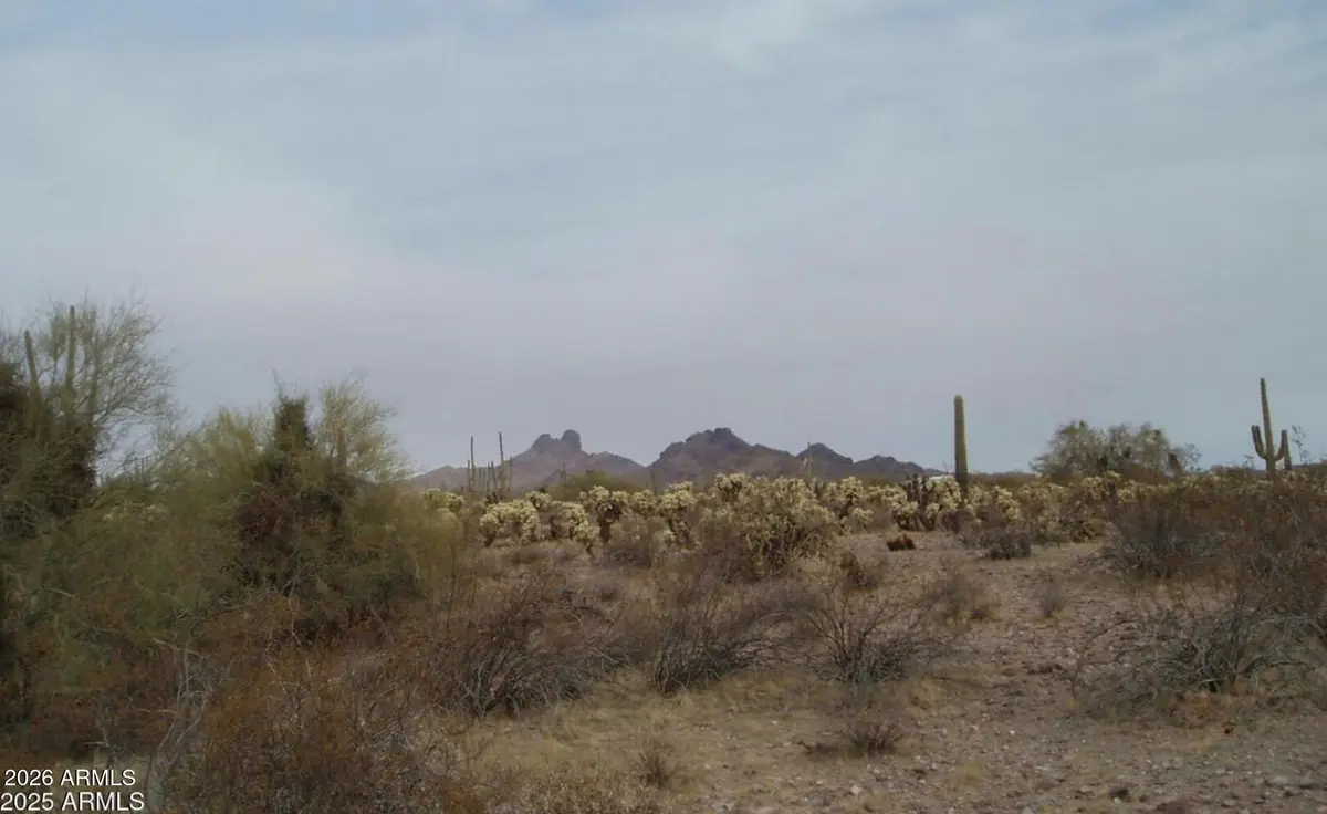 307000 N 315th Avenue #162 3, Wittmann, AZ 85361 - #1