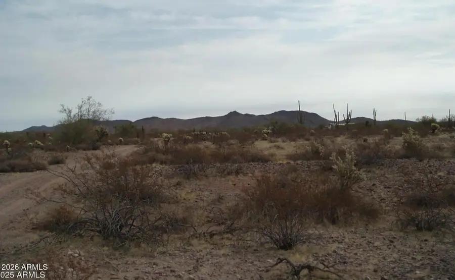 307000 N 315th Avenue #162 3, Wittmann, AZ 85361 - #2