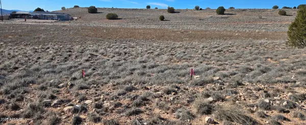 25670 N St Joseph Drive #479, Paulden, AZ 86334