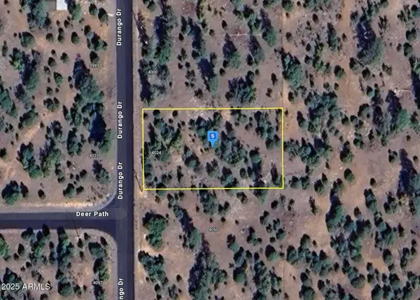 4024 Durango Drive #239, Happy Jack, AZ 86024