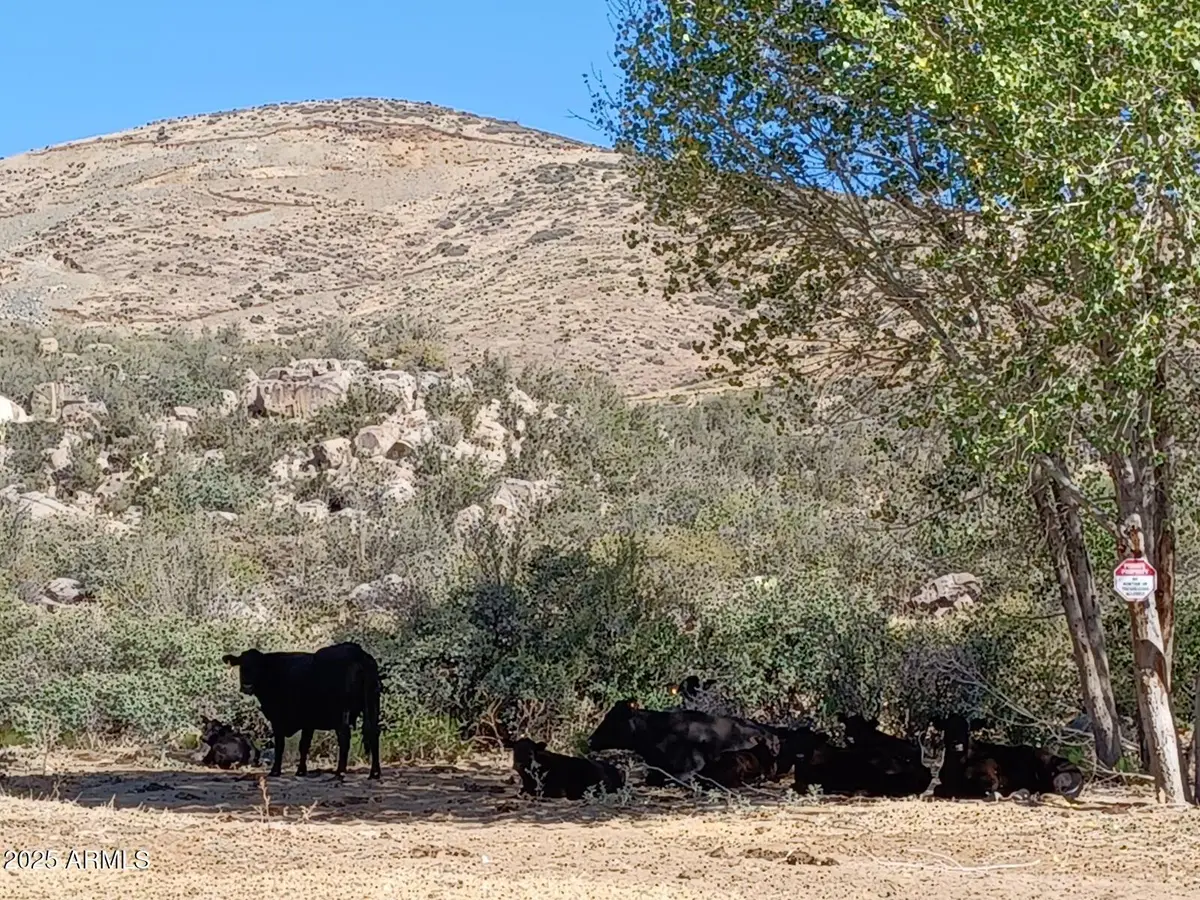 10450 E Vaca Bonita Lot B Trail #3, Humboldt, AZ 86329 - Image #1