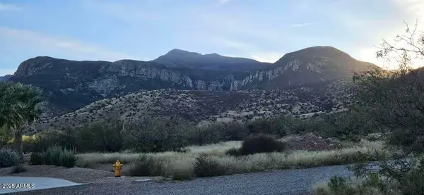 1.25 Acres E Emma Lane (lot 1) --, Hereford, AZ 85615