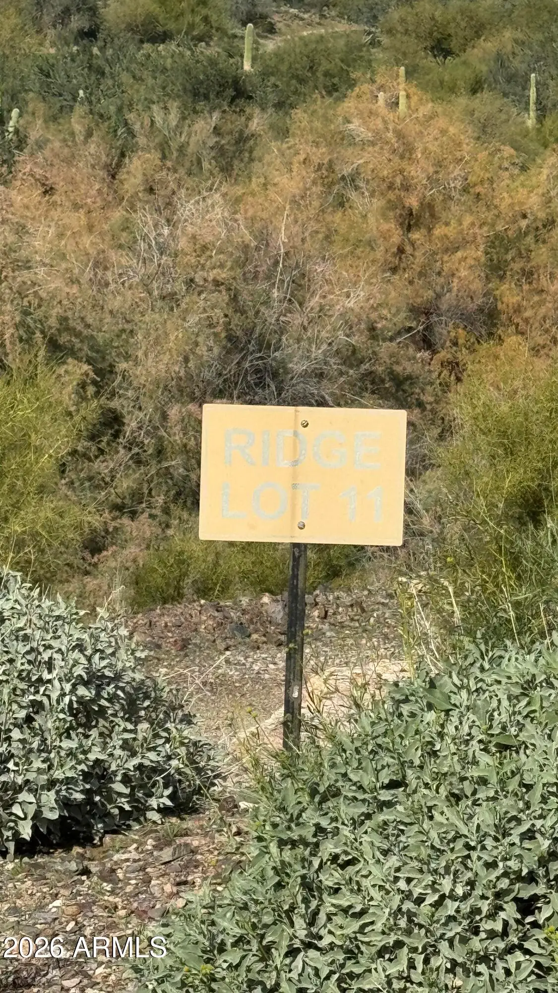 39688 N Serene Ridge #11, Peoria, AZ 85383 - #1