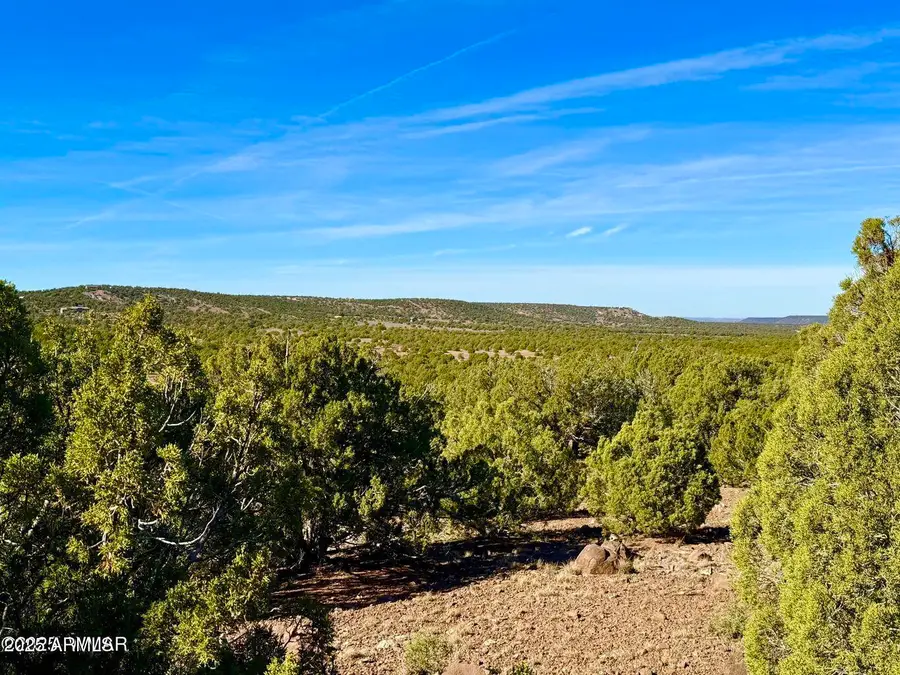 TBD Kirkland Dr 20 Acres --, Concho, AZ 85924 - #2