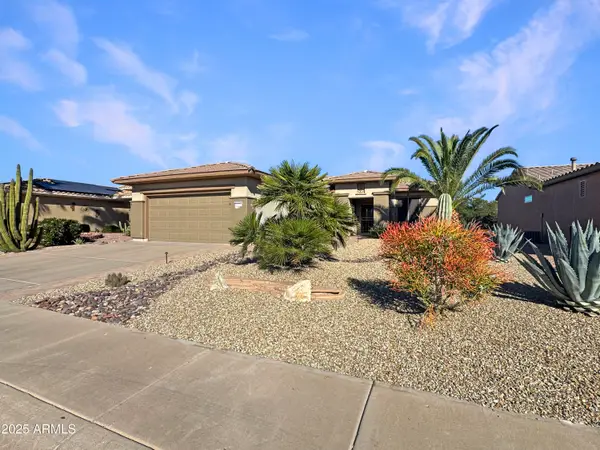 15902 W Summerwalk Drive, Surprise, AZ 85374