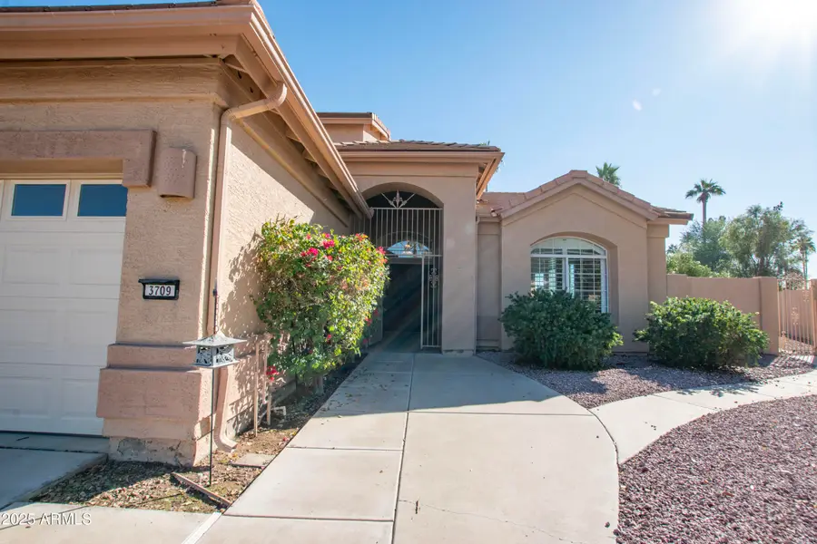 3709 N 154th Drive, Goodyear, AZ 85395 - Image #3