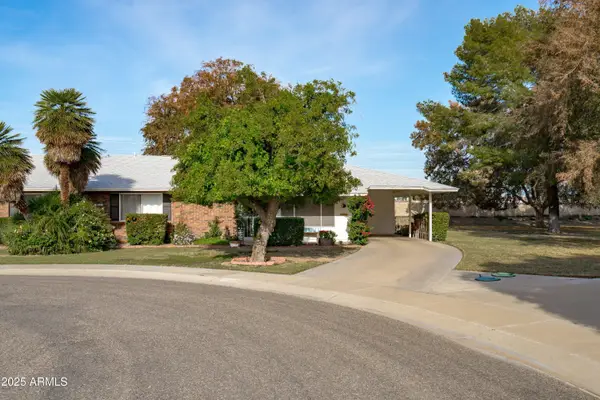 10410 W Campana Drive, Sun City, AZ 85351