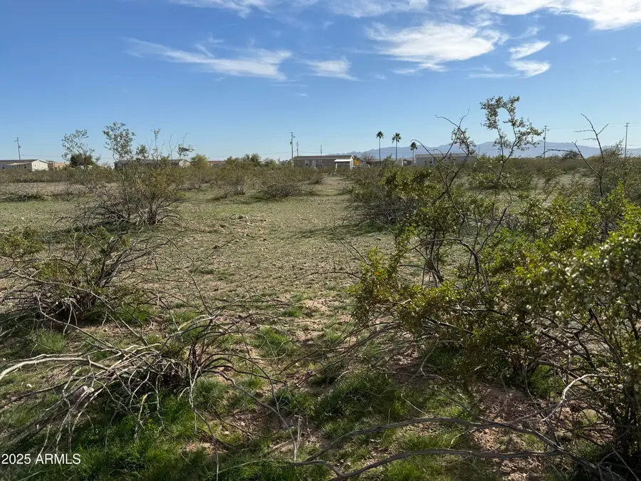 04 N 223rd Avenue, Wittmann, AZ 85361 - #3