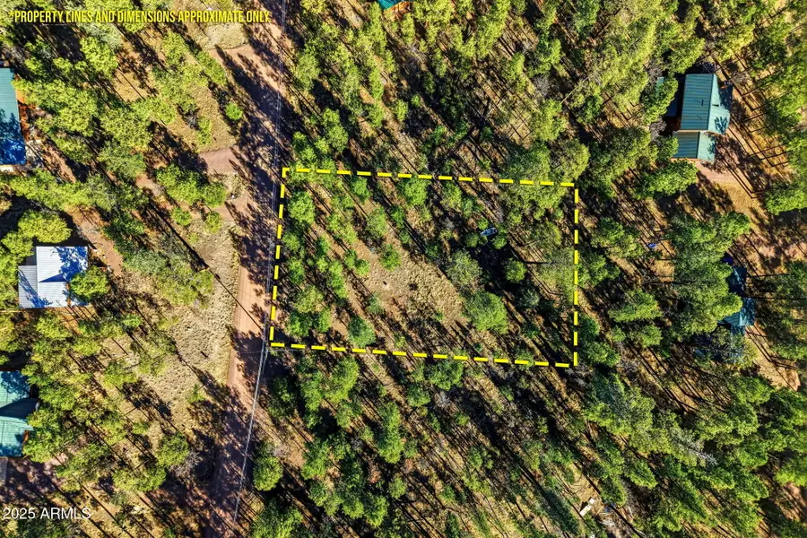 20 Co Rd 2067 -- #114, Alpine, AZ 85920 - #3