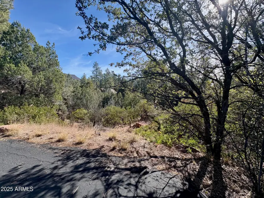 19 N Elk Rub Lane #19, Pine, AZ 85544 - Image #2
