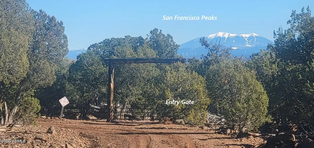 12120 9 Shooter -- #31, Williams, AZ 86046 - Image #1