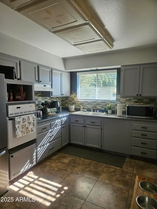 10262 W Snead Circle N, Sun City, AZ 85351