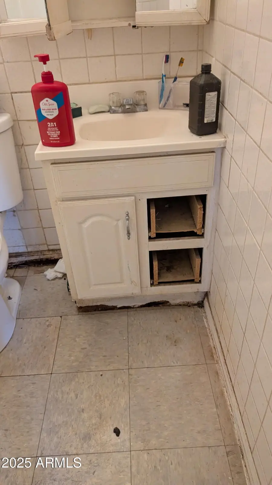 4431 N 50th Drive, Phoenix, AZ 85031 - Image #3