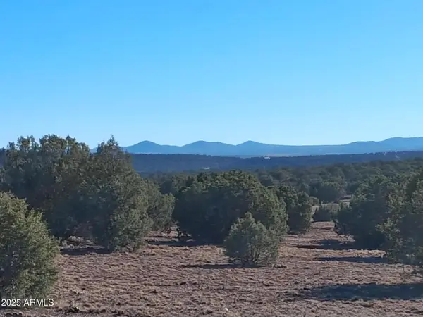 19 County Rd N8285 --, Concho, AZ 85924