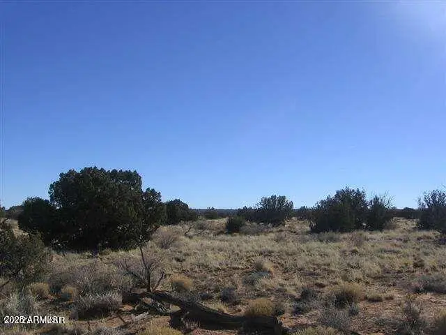 1543 Chevelon Avenue, Heber, AZ 85928 - Image #2