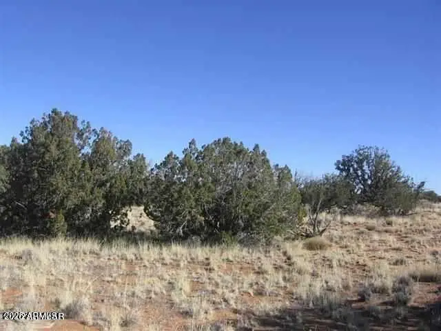 1543 Chevelon Avenue, Heber, AZ 85928 - Image #3