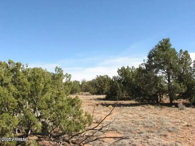 Lot 21 Chevelon Retreat #1 -- #21, Heber, AZ 85928 - Image #1