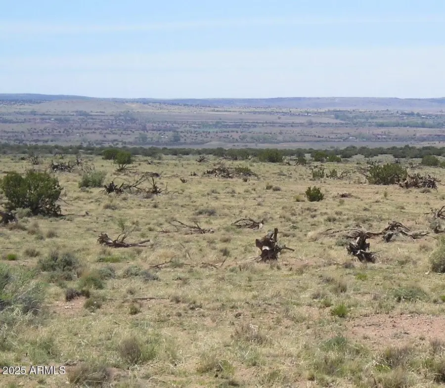 150 N County Rd. N 6100 --, Saint Johns, AZ 85936 - Image #3