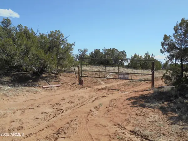 568 County Road N7407 --, St Johns, AZ 85936