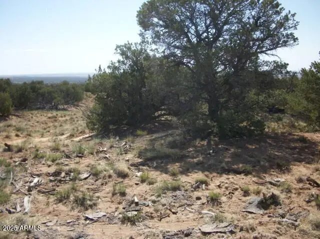 568 County Road N7407 --, Saint Johns, AZ 85936 - Image #3