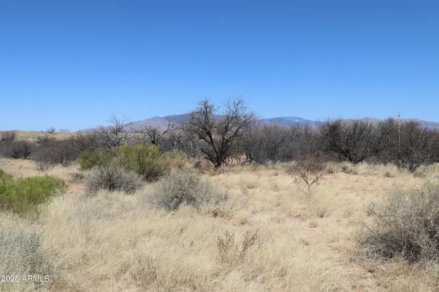 TBD W Eeyore Lane, Benson, AZ 85602 - #3