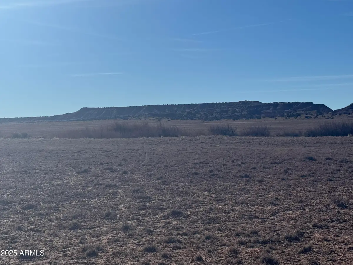 Lot 15 Woodland Valley Ranch -- #15, Saint Johns, AZ 85936 - Image #1