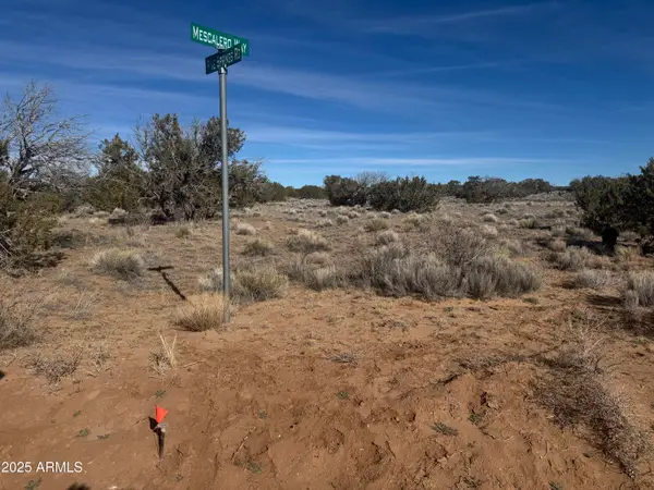 Lot 98 Woodland Valley Ranch -- #98, St Johns, AZ 85936