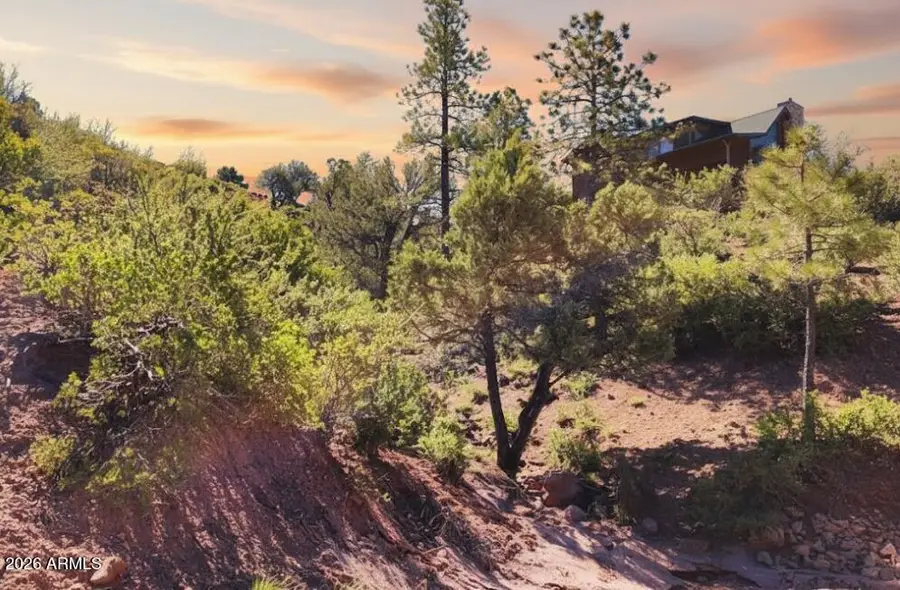 55 Foxtail Circle #55, Pine, AZ 85544 - #3