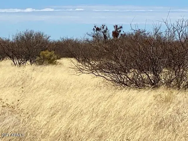 TBD S Calle Mia Road #'-', Hereford, AZ 85615 - Image #2