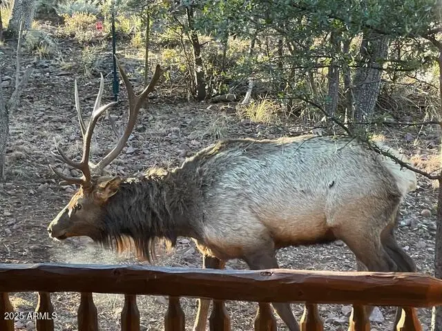 6215 W Sharyn Road, Pine, AZ 85544 - #3