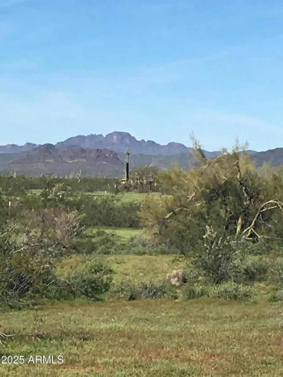 417XX N 252nd Avenue, Morristown, AZ 85342 - Image #3