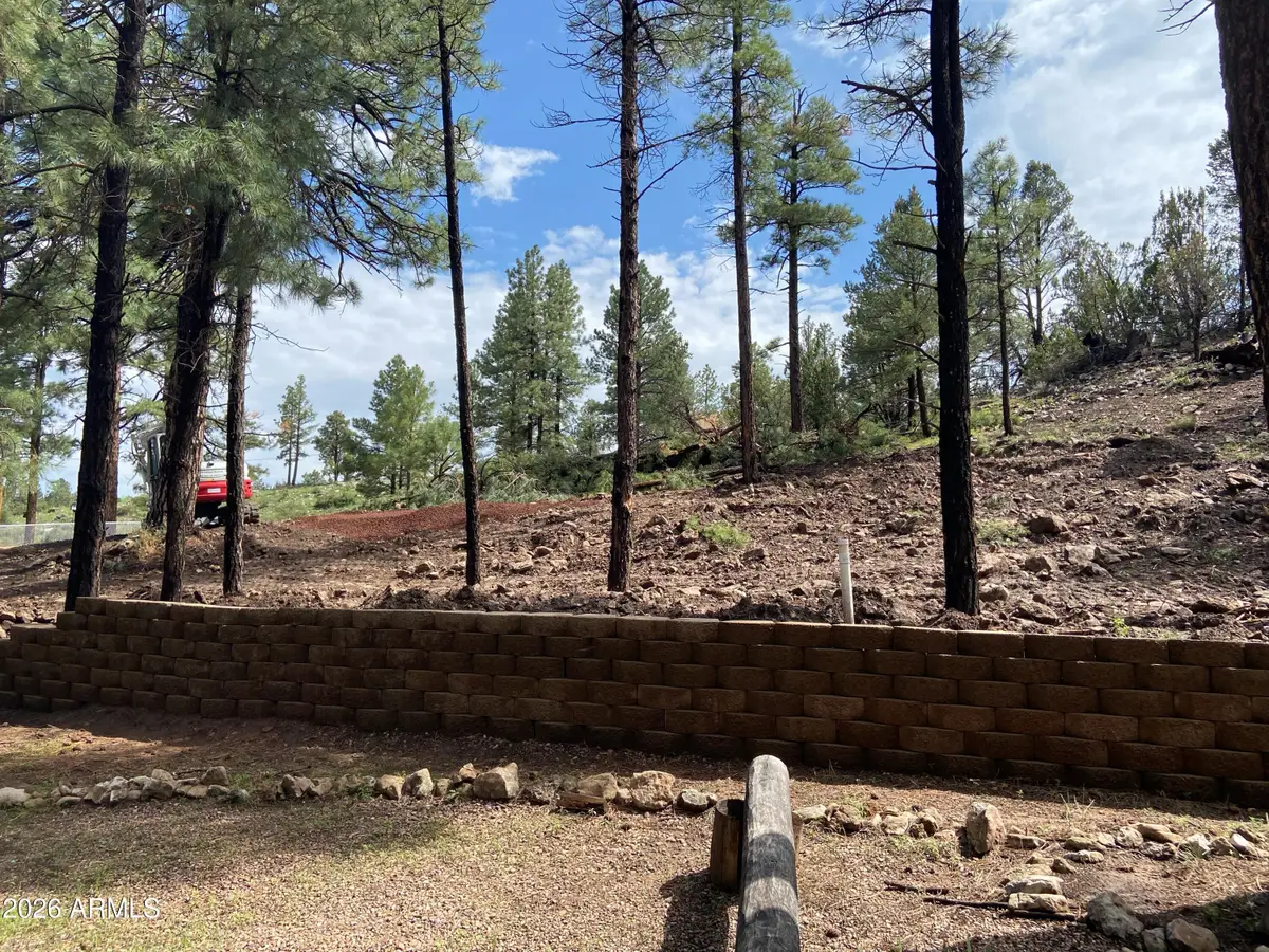 2820 Pine Hill Drive #20, Overgaard, AZ 85933 - Image #1