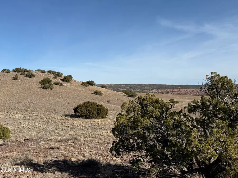 Lot 197 Unit 6 River Springs Ranch -- #197, Saint Johns, AZ 85936 - #3