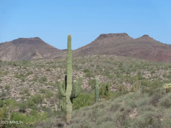 15-C N White Face Canyon Drive #15-C, Fort McDowell, AZ 85264