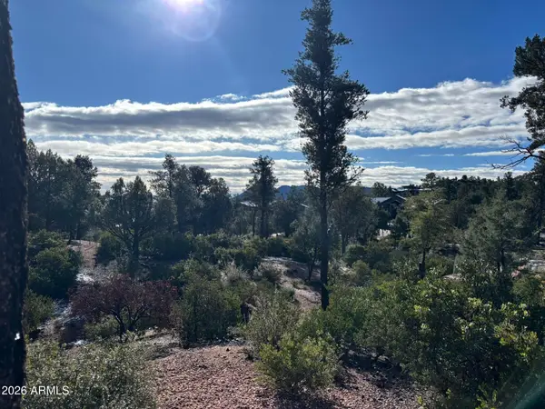 1107 N Scenic Drive #109, Payson, AZ 85541