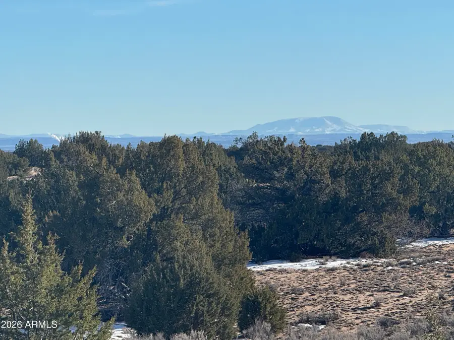 Lot 198 Red Sky Ranch -- #198, Saint Johns, AZ 85936 - Image #3