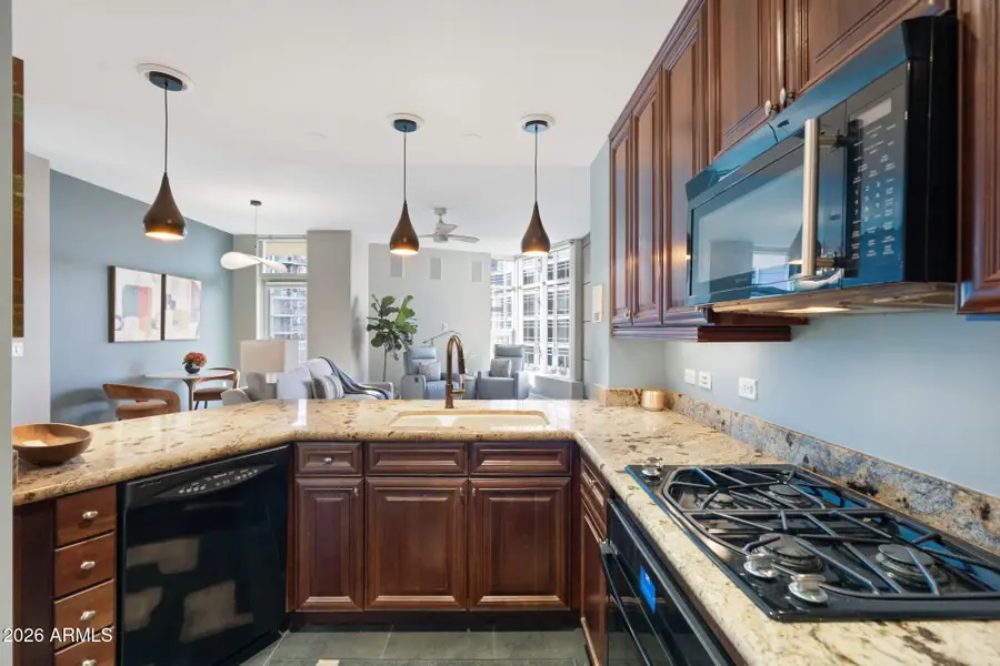 120 E Rio Salado Parkway #406, Tempe, AZ 85281 - Image #3