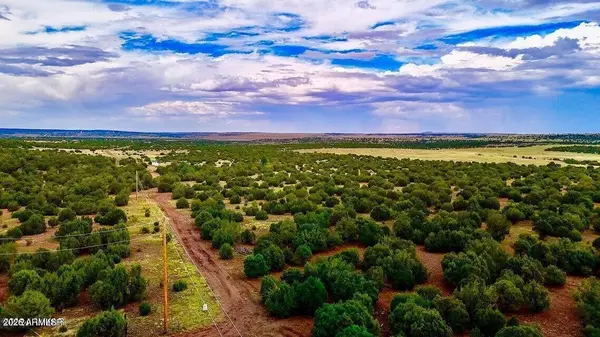 TBD Co Rd N3218 37 Acres --, Vernon, AZ 85940