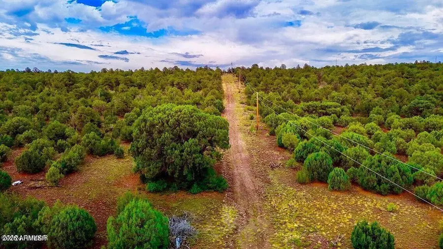 TBD Co Rd N3218 37 Acres --, Vernon, AZ 85940 - #2