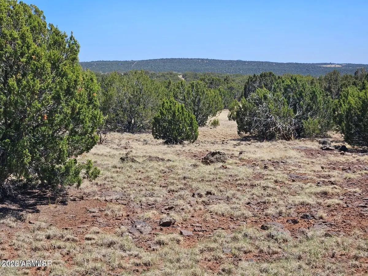 TBD Acr N8060 -- #86, Concho, AZ 85924 - Image #1