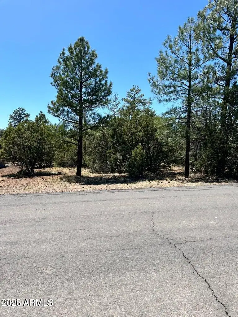 4864 Bison Trail #40, Lakeside, AZ 85929 - Image #1
